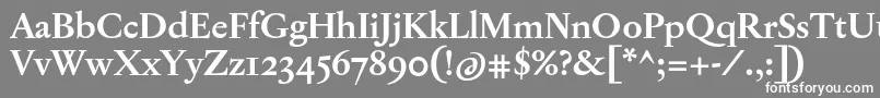 JannonTModerneProBold Font – White Fonts on Gray Background