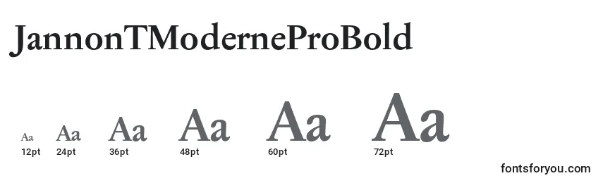 JannonTModerneProBold Font Sizes