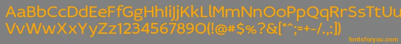 IdealistSans Font – Orange Fonts on Gray Background