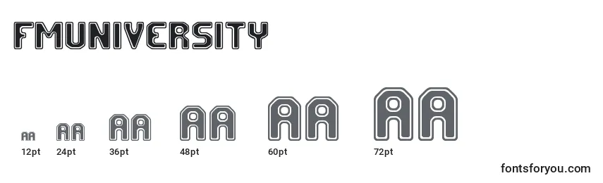 FmUniversity Font Sizes