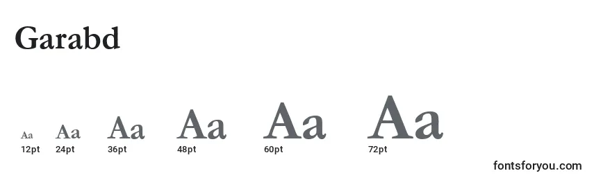 Garabd Font Sizes