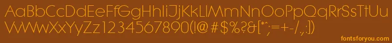 LiteraserialLightRegular Font – Orange Fonts on Brown Background