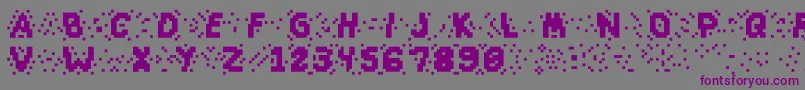 フォントSlapandcrumblyal – 紫色のフォント、灰色の背景