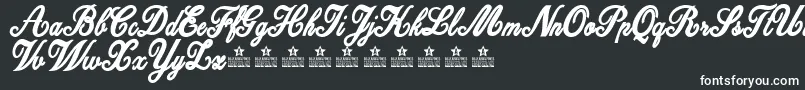 DattermatterBoldPersonalUse Font – White Fonts on Black Background