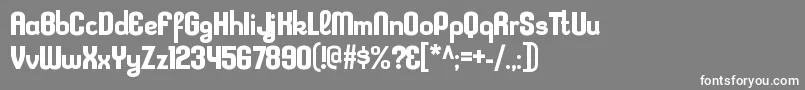 フォントKleptocracyrgBold – 灰色の背景に白い文字