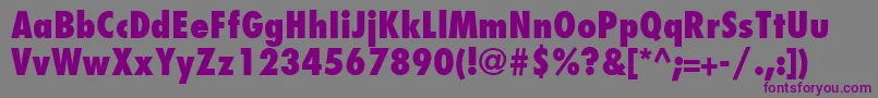FuturaLtCondensedExtraBold Font – Purple Fonts on Gray Background