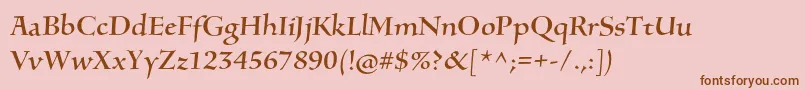 SilentiumproRomani Font – Brown Fonts on Pink Background