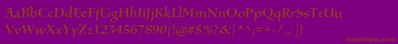SilentiumproRomani Font – Brown Fonts on Purple Background