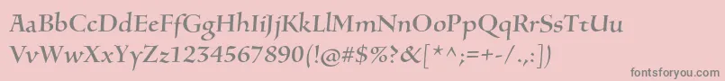 SilentiumproRomani Font – Gray Fonts on Pink Background
