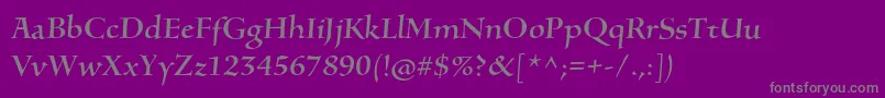 SilentiumproRomani Font – Gray Fonts on Purple Background