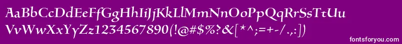 SilentiumproRomani Font – White Fonts on Purple Background