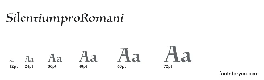 Размеры шрифта SilentiumproRomani