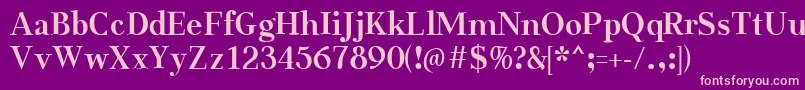 AabcedBold Font – Pink Fonts on Purple Background