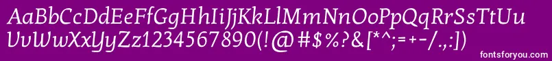 KottaoneRegular-Schriftart – Weiße Schriften auf violettem Hintergrund