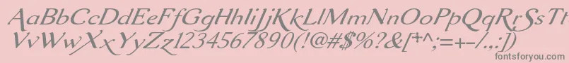 Aurelisadfscriptno2stdExtit Font – Gray Fonts on Pink Background