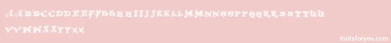 Doldmoderntwo Font – White Fonts on Pink Background