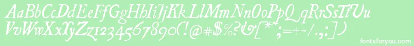 UglyquaItalic Font – White Fonts on Green Background