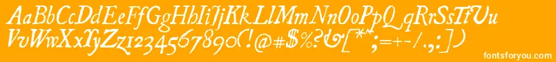 UglyquaItalic Font – White Fonts on Orange Background