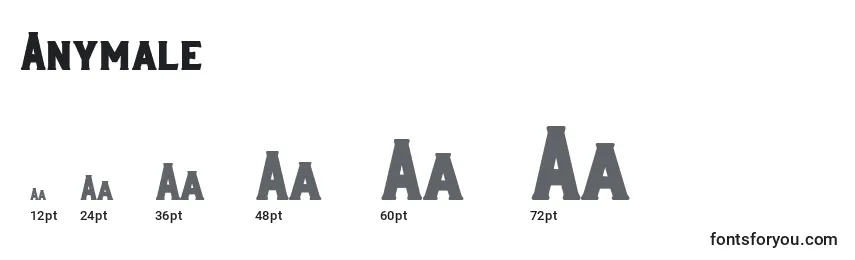Размеры шрифта Anymale