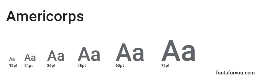 Размеры шрифта Americorps