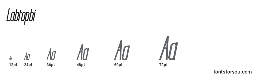 Labtopbi Font Sizes