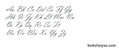 Шрифт VladimirScript