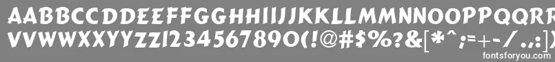 フォントCactusdbNormal – 灰色の背景に白い文字