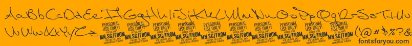 FromskylerPersonalUse Font – Black Fonts on Orange Background