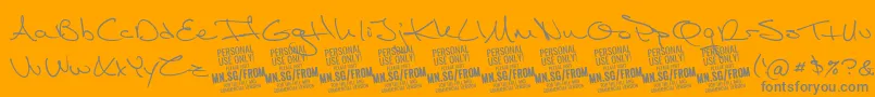 FromskylerPersonalUse Font – Gray Fonts on Orange Background