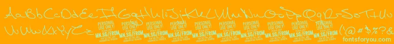 FromskylerPersonalUse Font – Green Fonts on Orange Background