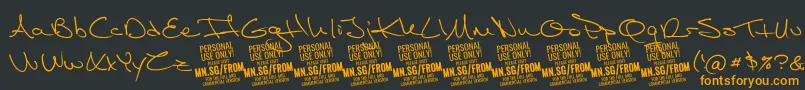 FromskylerPersonalUse Font – Orange Fonts on Black Background