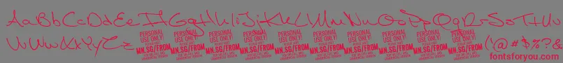 FromskylerPersonalUse Font – Red Fonts on Gray Background