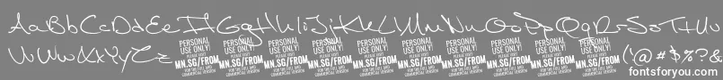Шрифт FromskylerPersonalUse – белые шрифты на сером фоне