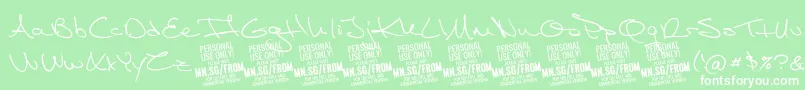 FromskylerPersonalUse Font – White Fonts on Green Background