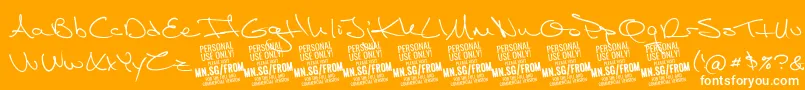 FromskylerPersonalUse Font – White Fonts on Orange Background