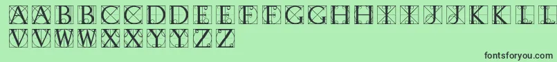 Typographerdisplay Font – Black Fonts on Green Background