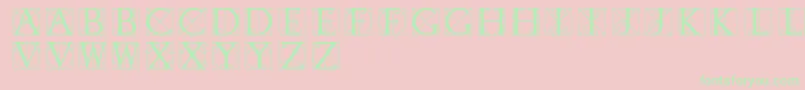 Typographerdisplay Font – Green Fonts on Pink Background