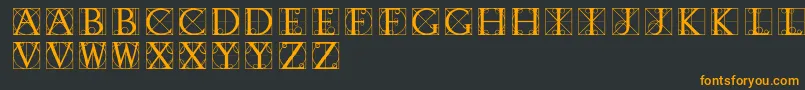 Typographerdisplay Font – Orange Fonts on Black Background