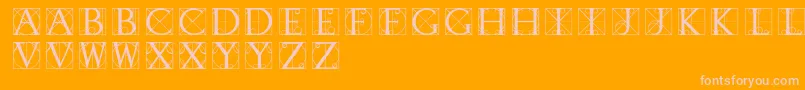 Typographerdisplay Font – Pink Fonts on Orange Background