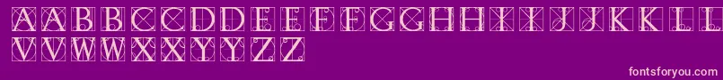 Typographerdisplay Font – Pink Fonts on Purple Background