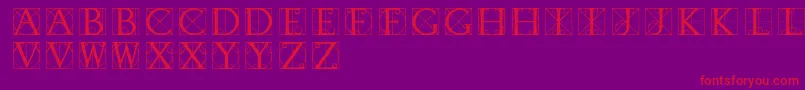 Typographerdisplay Font – Red Fonts on Purple Background