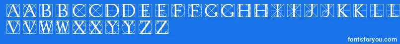 Typographerdisplay Font – White Fonts on Blue Background