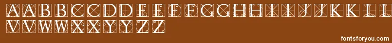 Typographerdisplay Font – White Fonts on Brown Background