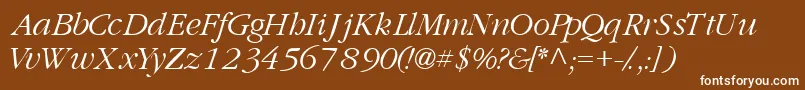 フォントGaramondlightsskItalic – 茶色の背景に白い文字