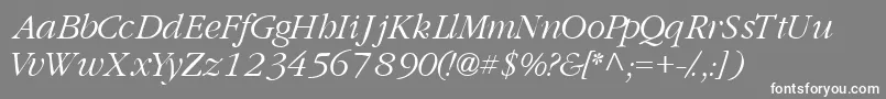 GaramondlightsskItalic Font – White Fonts on Gray Background