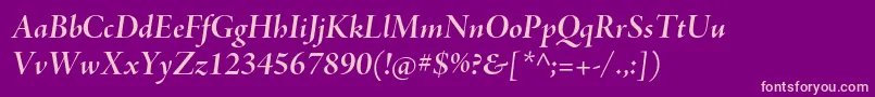 AjensonproBolditdisp Font – Pink Fonts on Purple Background