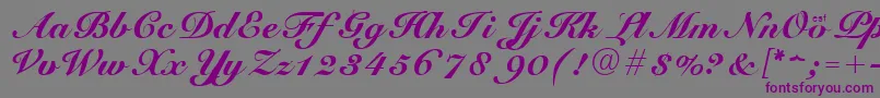 CursiveElegant Font – Purple Fonts on Gray Background