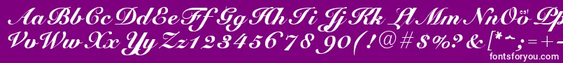 CursiveElegant Font – White Fonts on Purple Background