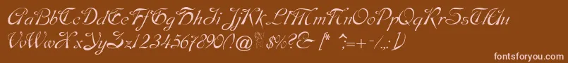 Fonte Dobkinscript – fontes rosa em um fundo marrom
