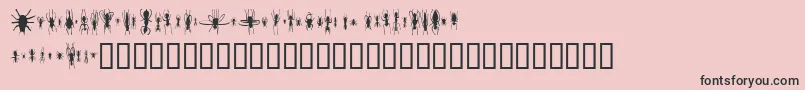 WinBugs Font – Black Fonts on Pink Background